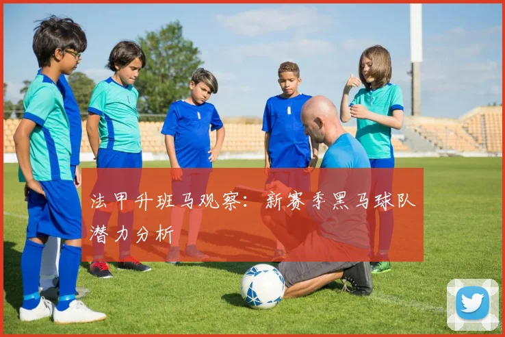 法甲升班马观察：新赛季黑马球队潜力分析