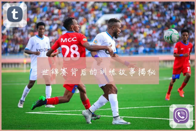 世锦赛背后的训练故事揭秘